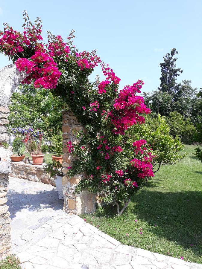 Garden Rooms Pirgos Psilonerou 외부 사진